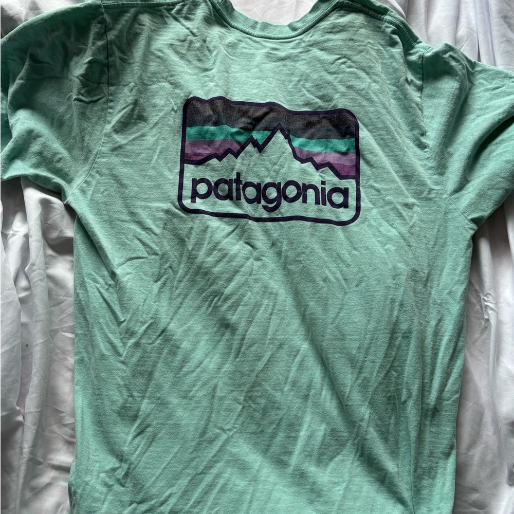 Patagonia Seafoam Green Logo Tee